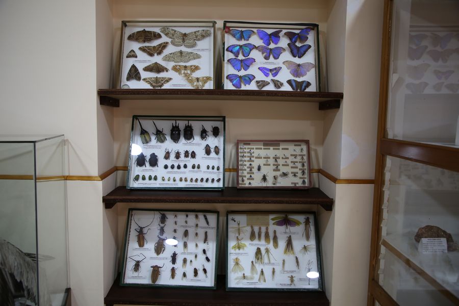 Imagen del museo
