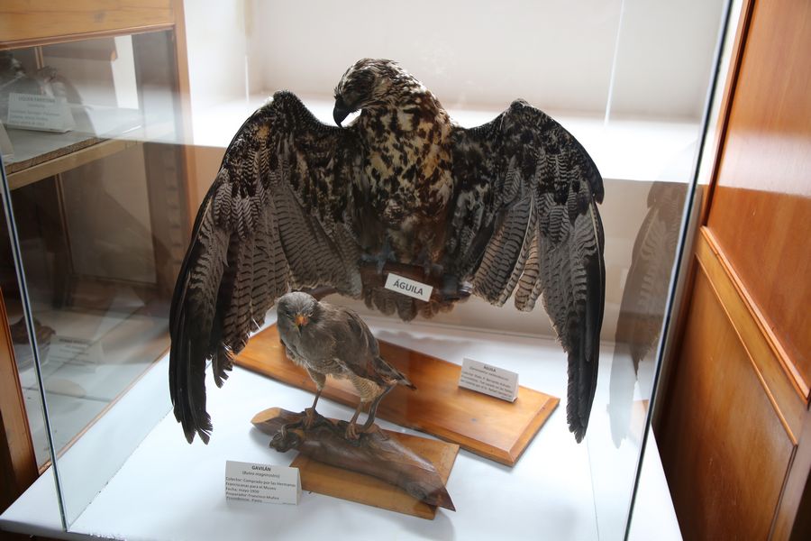 Imagen del museo